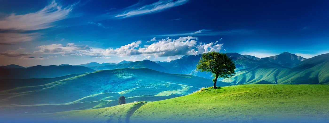 Valle verde con un árbol